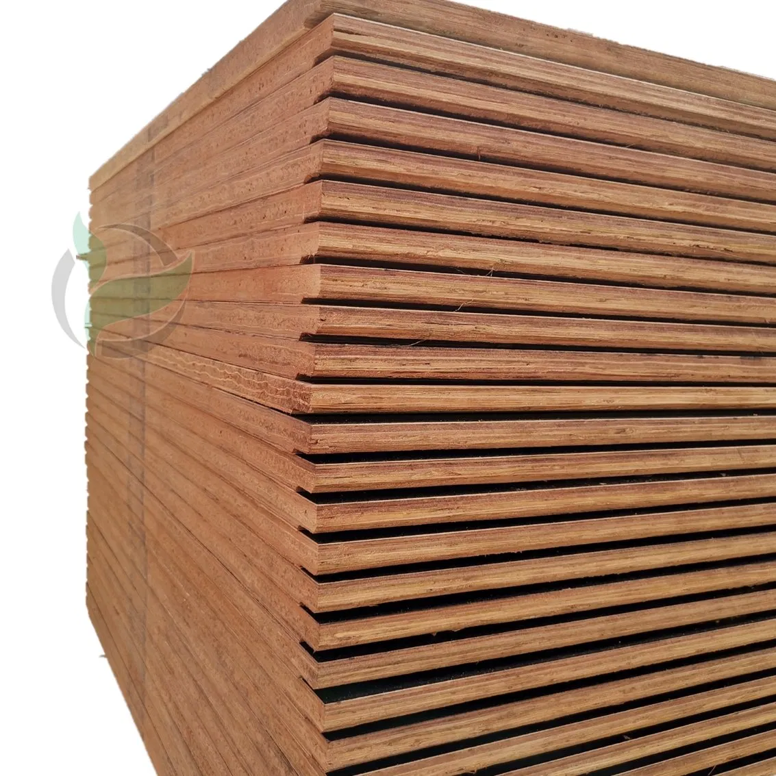 Premium Hardwood Core Plywood for Durable Container Flooring