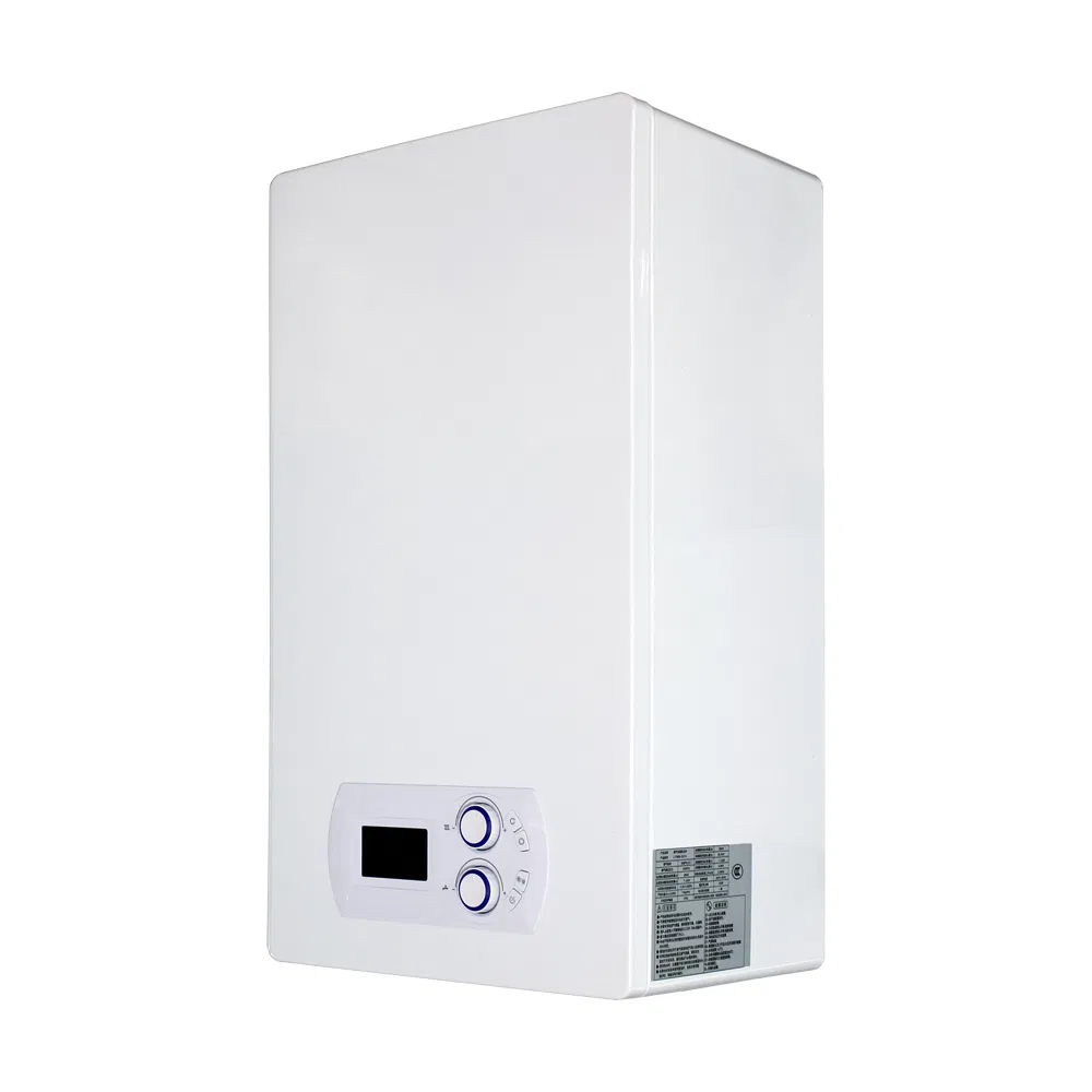 28kw Two Heat Exchanger Wall-Hung Gas Boiler for Comfort