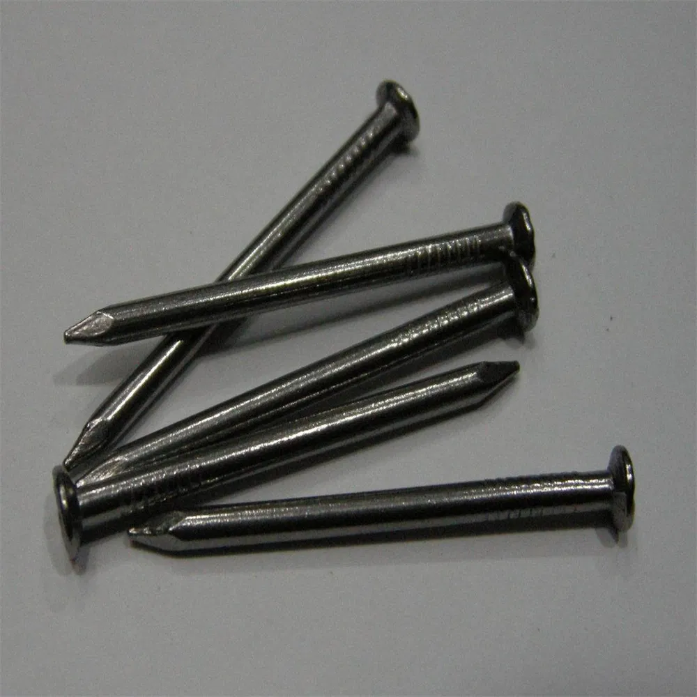Reliable Common Iron Nails for Construction and DIY Projects