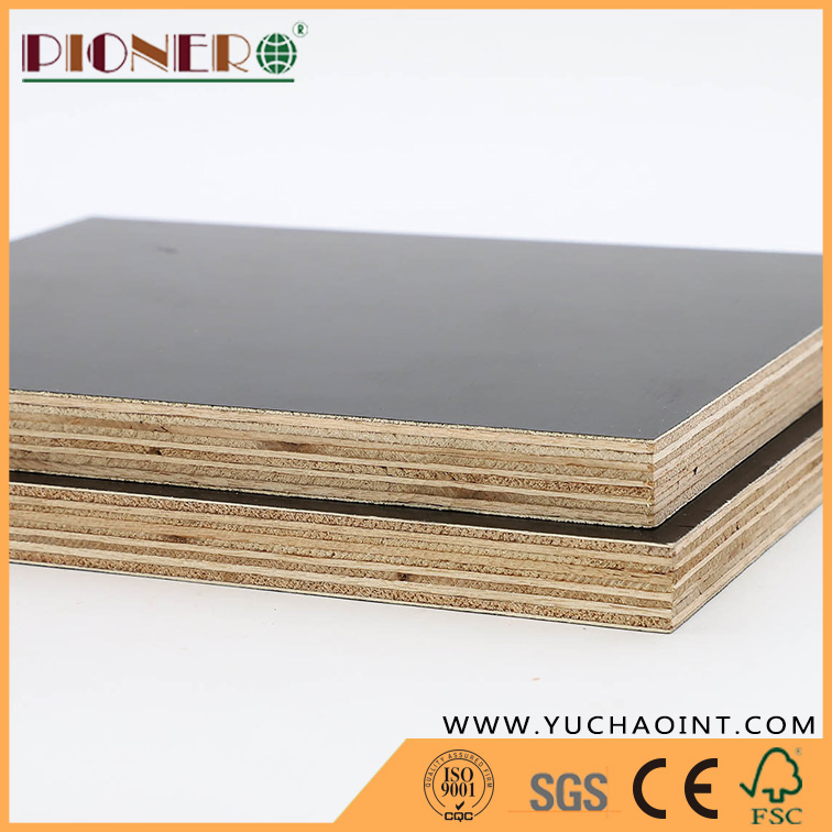 15mm Best Price Film Faced Plywood for Building