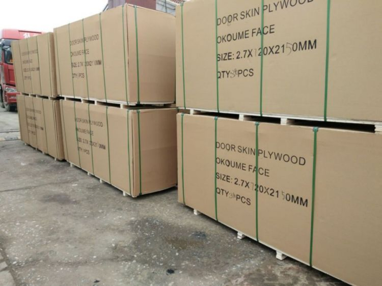 Interior Door Skins 2.7mm 3mm 3X7 Factory