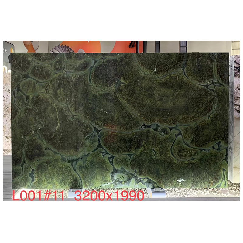 Vitoria Regia Quartzite Slabs for Countertops and Tiles