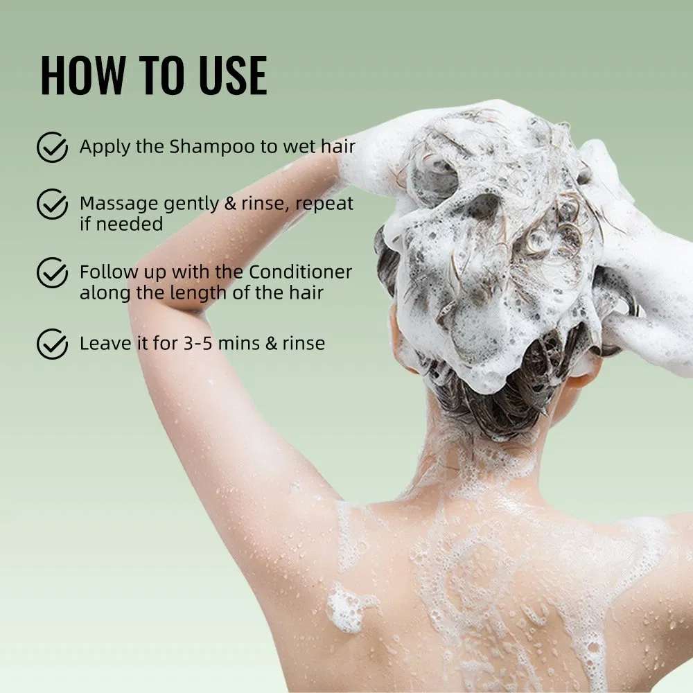 Natural Hair Grow Shampoo Organic Ginger Mint Tea Tree Oil Shampoo Hair Growth Oil Shampoo