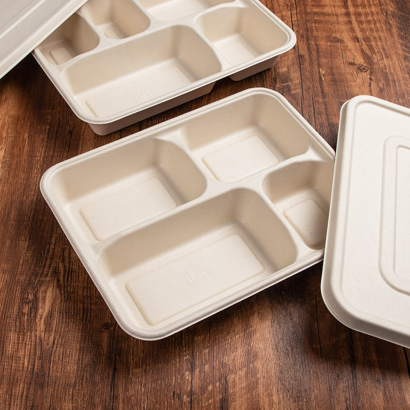 Natural White Disposable Biodegradable Bagasse Cutlery Round Rectangle Large Divided Food Tray