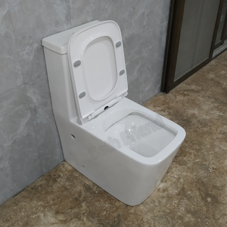 Chaozhou Sanitary Ware Ceramic Floor Mounted S-Trap One Piece Wc Toilet Bowl Wash Down Toilet