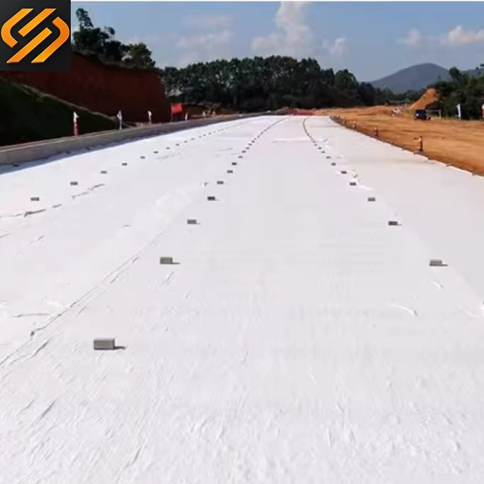 Nonwoven Geotextile PP Pet Staple Fiber Fabric for Philippines Road Construction