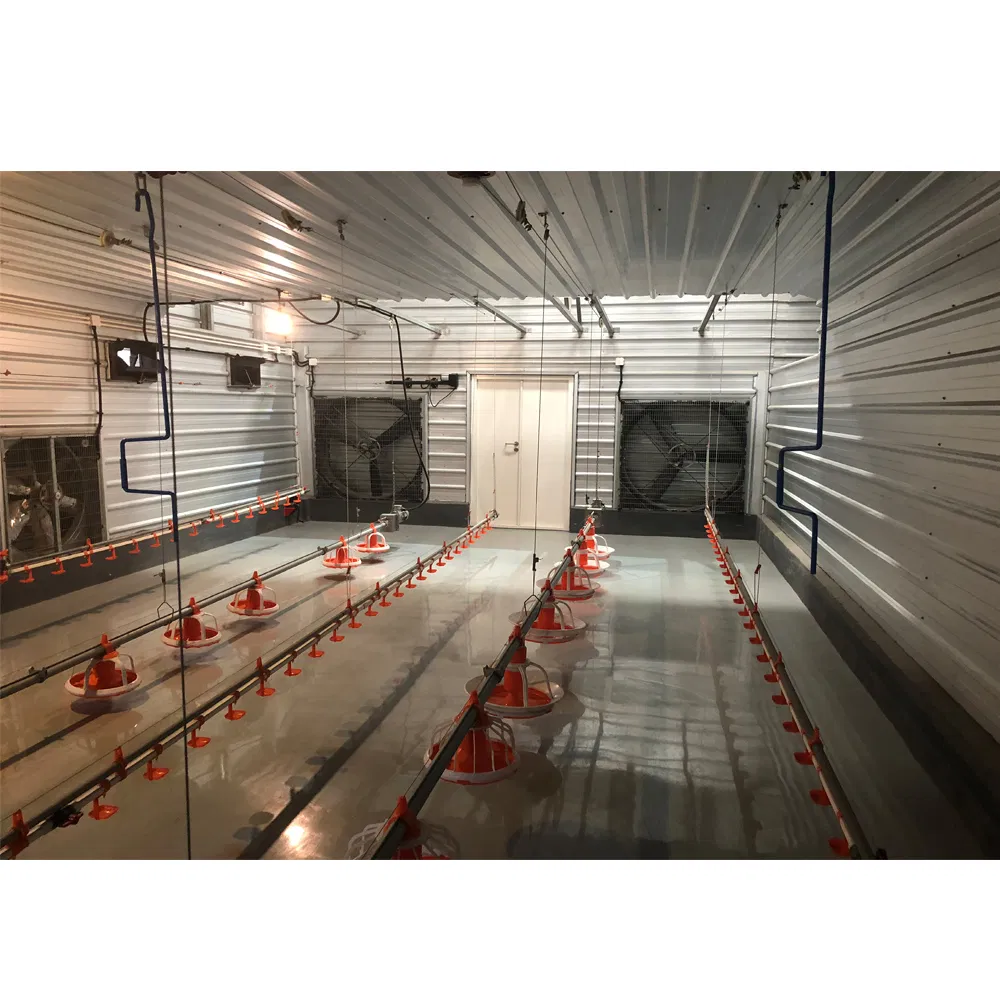 Modern Prefab Poultry Farming Shed Building Chicken Farm House