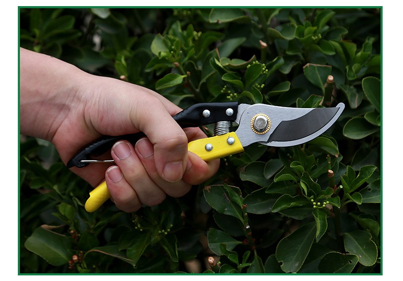 Garden Shears 6.5 Inch Gardening Scissors Hand Pruner