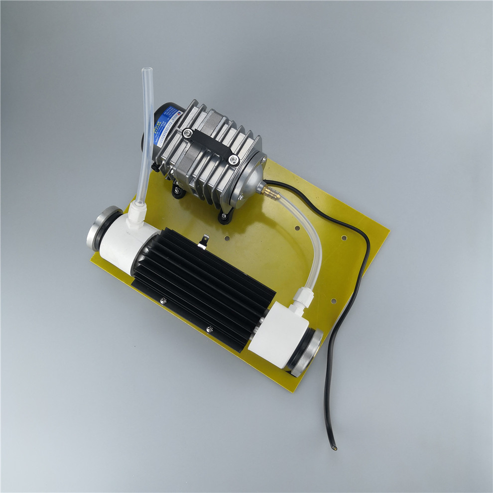 Water Sterilization and Disinfection Quartz Glass Tube Ozone Generator Module with Pump