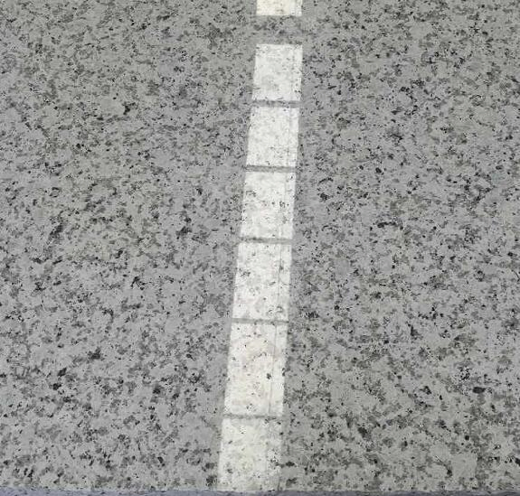 Hot Sale Natural White Flower Polished Granite for Train Station