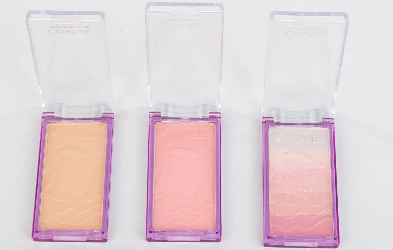Long-Lasting Blush Cheeks Cruelty Free Customized Logo Makeup Cheeks OEM ODM