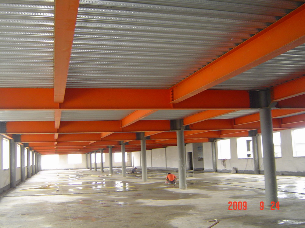 Steel Structure Building/Workhouse with SGS Certification