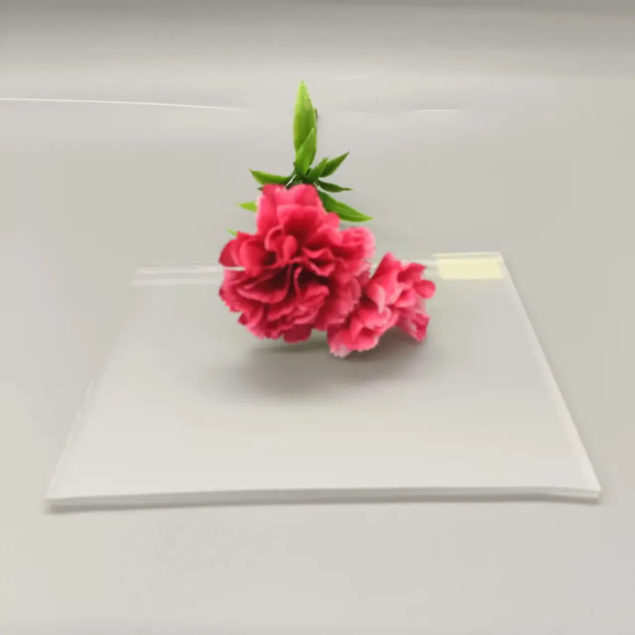 Ultra Clear Float Anti Fingerprint Glass for Decoration/Window