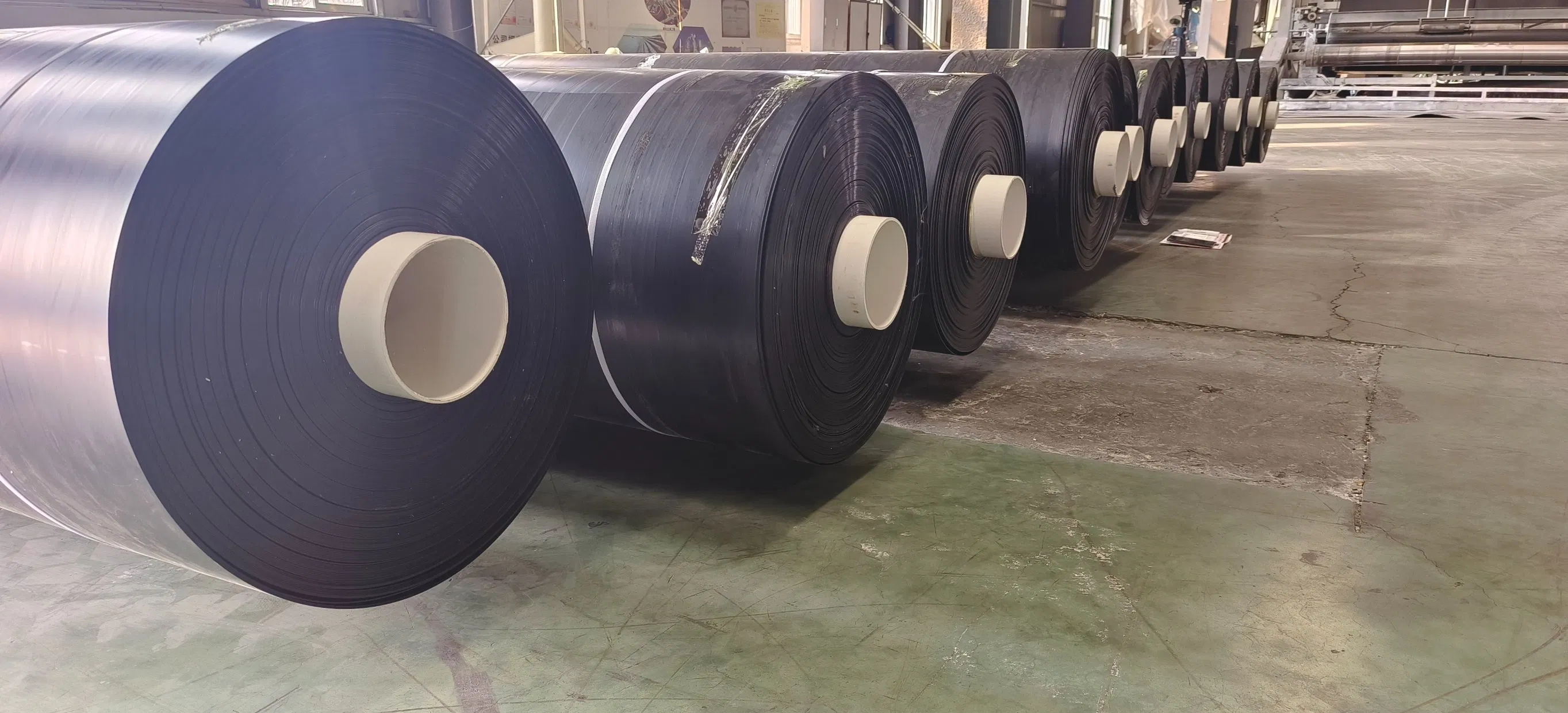 HDPE Geomembrane Reinforced Polyethylene Fish Pond Liner Geomembrane 0.75mm 1.5mm Geo Membrane 45mil 60mil Artificial Lake Liner