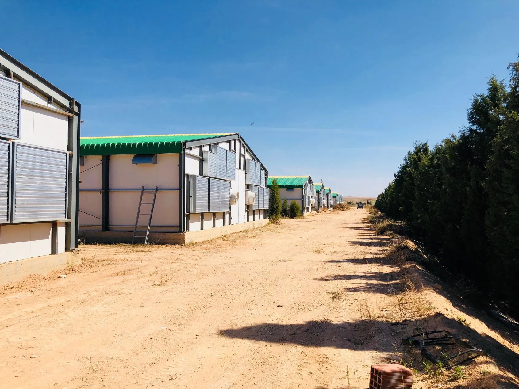 Quick Assemble Wholesale Prefab Poultry Farm Chicken Shed