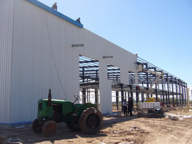 Steel Structure House for Commercial Shop Store Supermarket Type Buildings