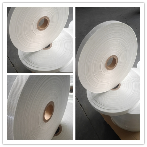 55GSM Fiberglass Reinforced Mesh Scrim with 12um Pet Film for Building Materials
