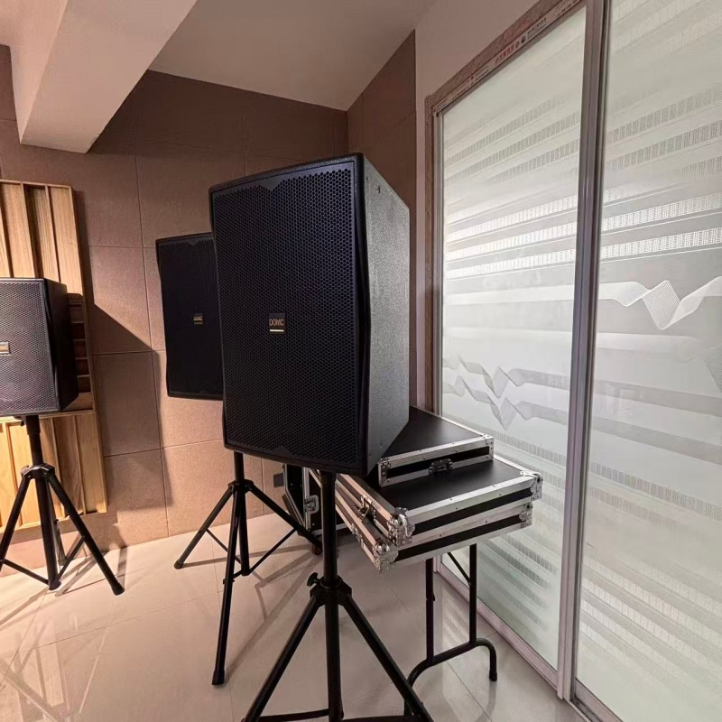 10-Inch Domc K210 Speaker, 300W AES, 50Hz-20kHz Frequency Response