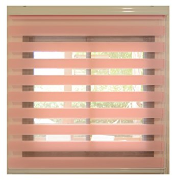 Fell in Love with Zebra Blind at First Sight