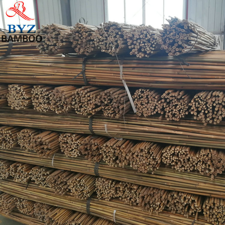 Natural Tonkin Bamboo Poles Bamboo Canes for Plant Garden Support