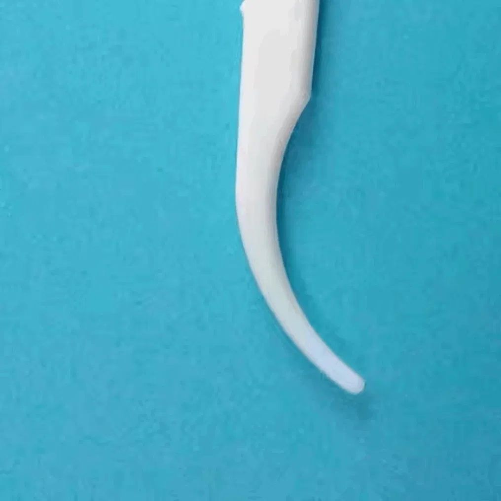 CE Certified European Market Dental Floss Meets Stringent EU Quality and Safety Standards for Export