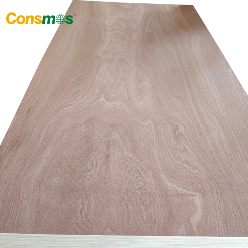 Comsmos 4X8 2mm/3mm/9mm/18mm Sapele Wood Veneer Commercial Plywood for Furniture/Construction