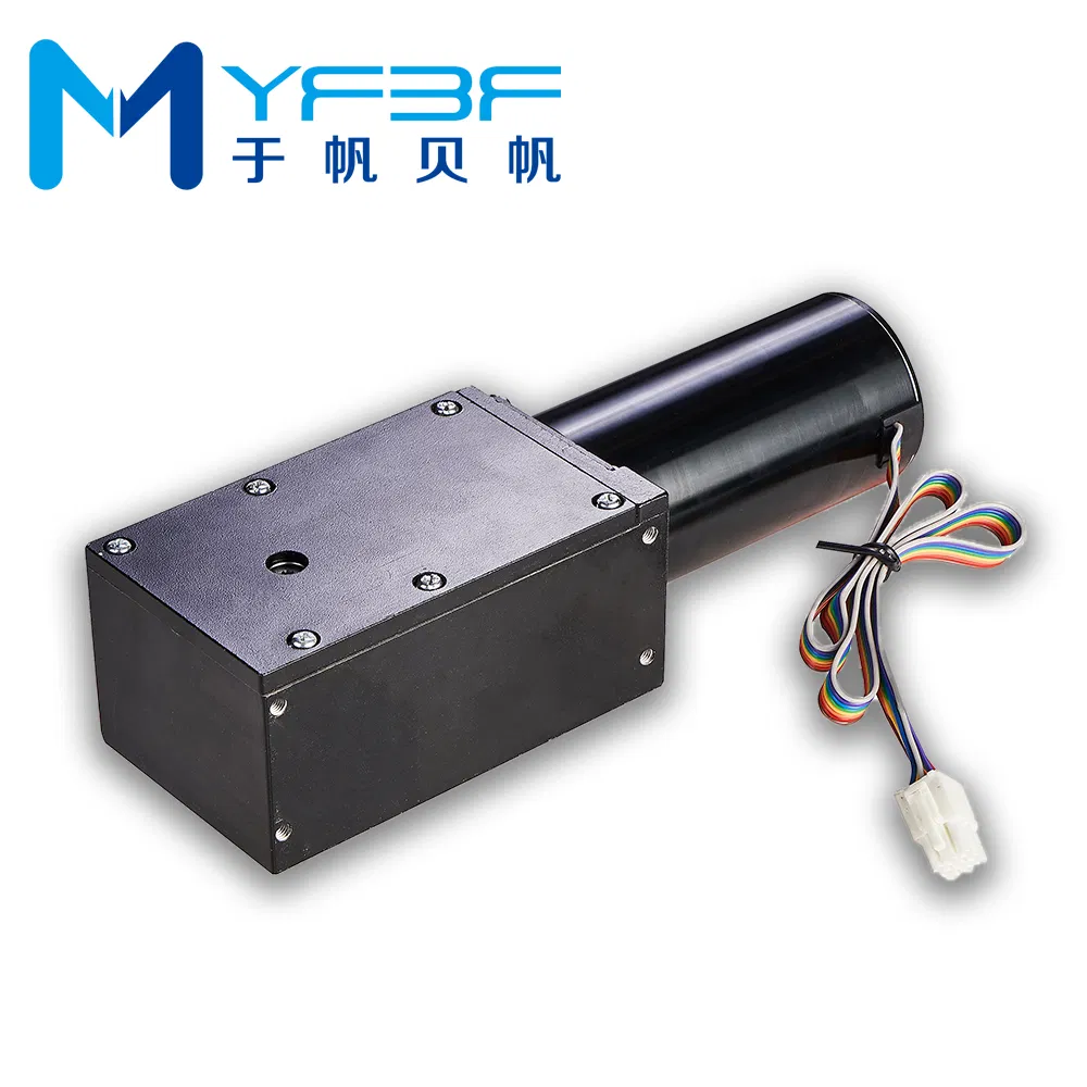 DC 24V 100W Automatic Swing Door Opener Motor for Outdoor Hotel and Apartment