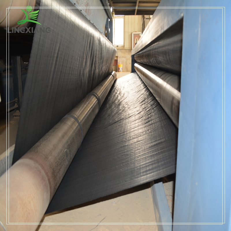 China Largest Factory Supply Heavy-Duty Waterproof Gcl 4000g/4500g5000g/6000g/6500g/7000g Bentonite Coated Geotextile Clay Liner