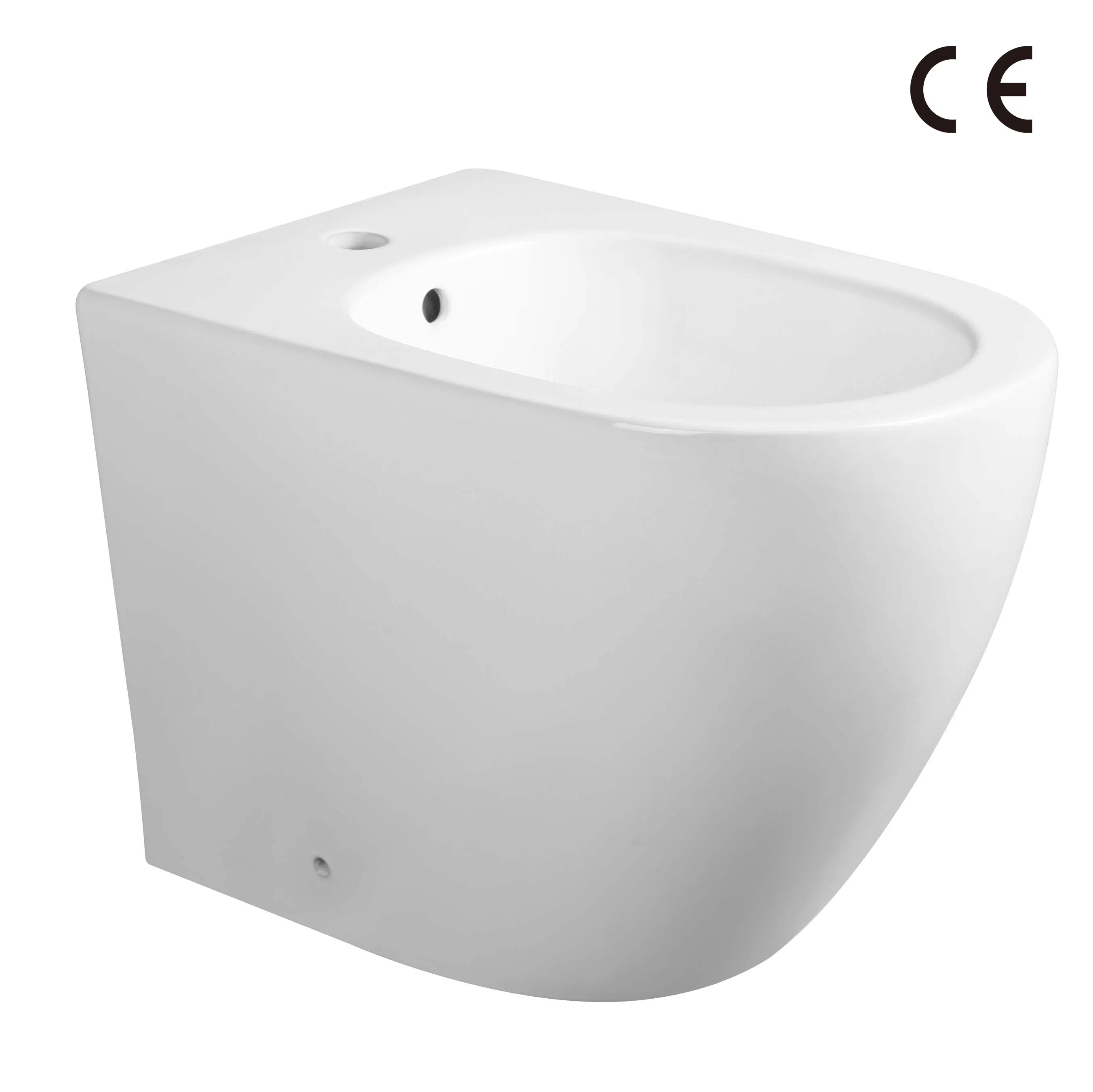 Elongated Bowl Concise Gloss White Back to Wall Floor Standing Bidet