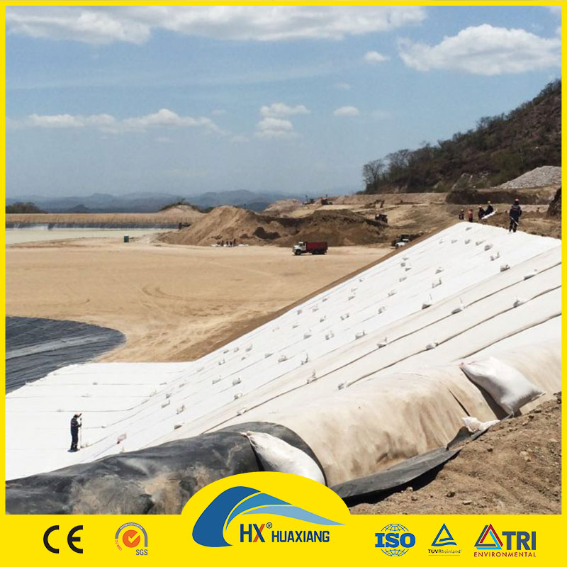 Geosynthetic Clay Liner Gcl Anti-Leakage with 5000g Weight Low Price for Municipal Engineering