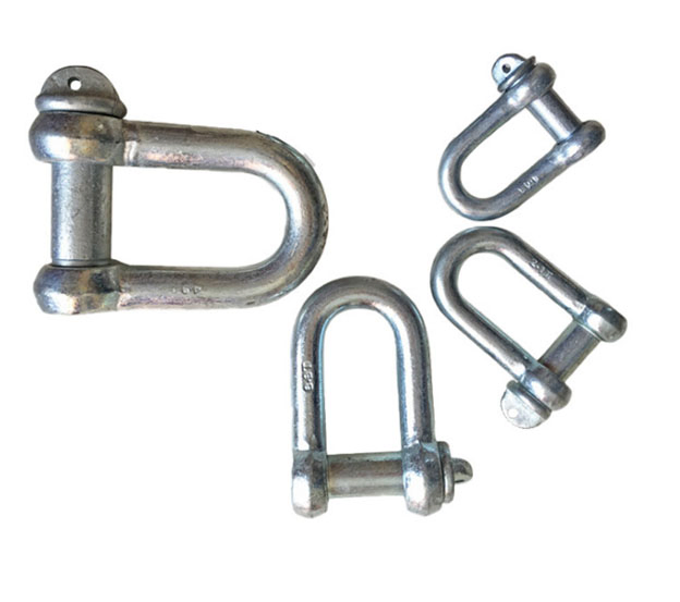 Forged D Type Anchor End Shackle HDG