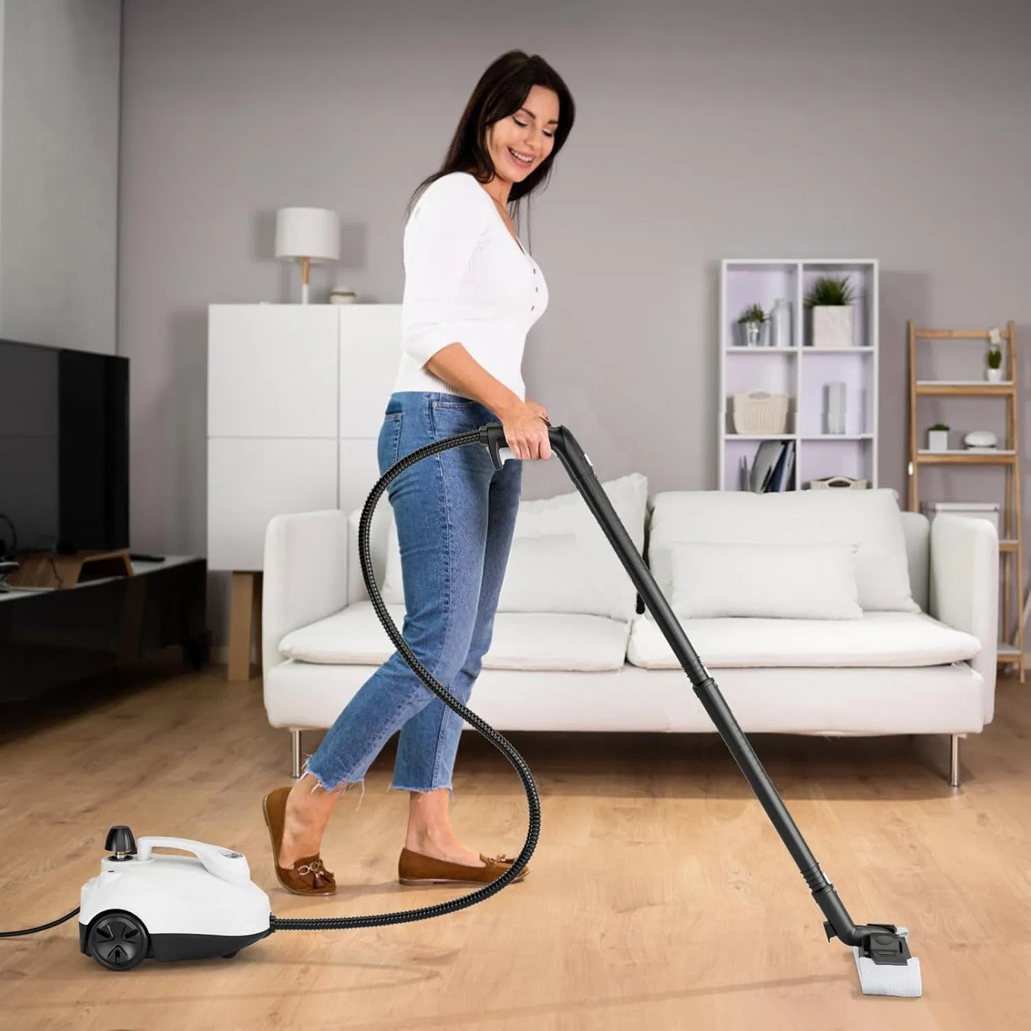Multi Purpose Professional Household High Pressure and Temperature Steam Cleaner (SW618-C)