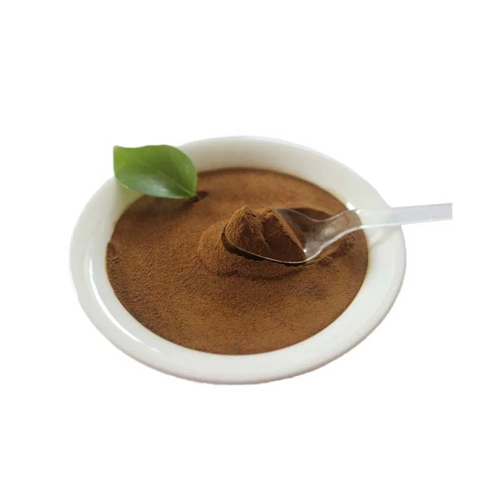 Sodium Lignosulfonate Powder: Enhances Workability in Ceramic & Tile Making