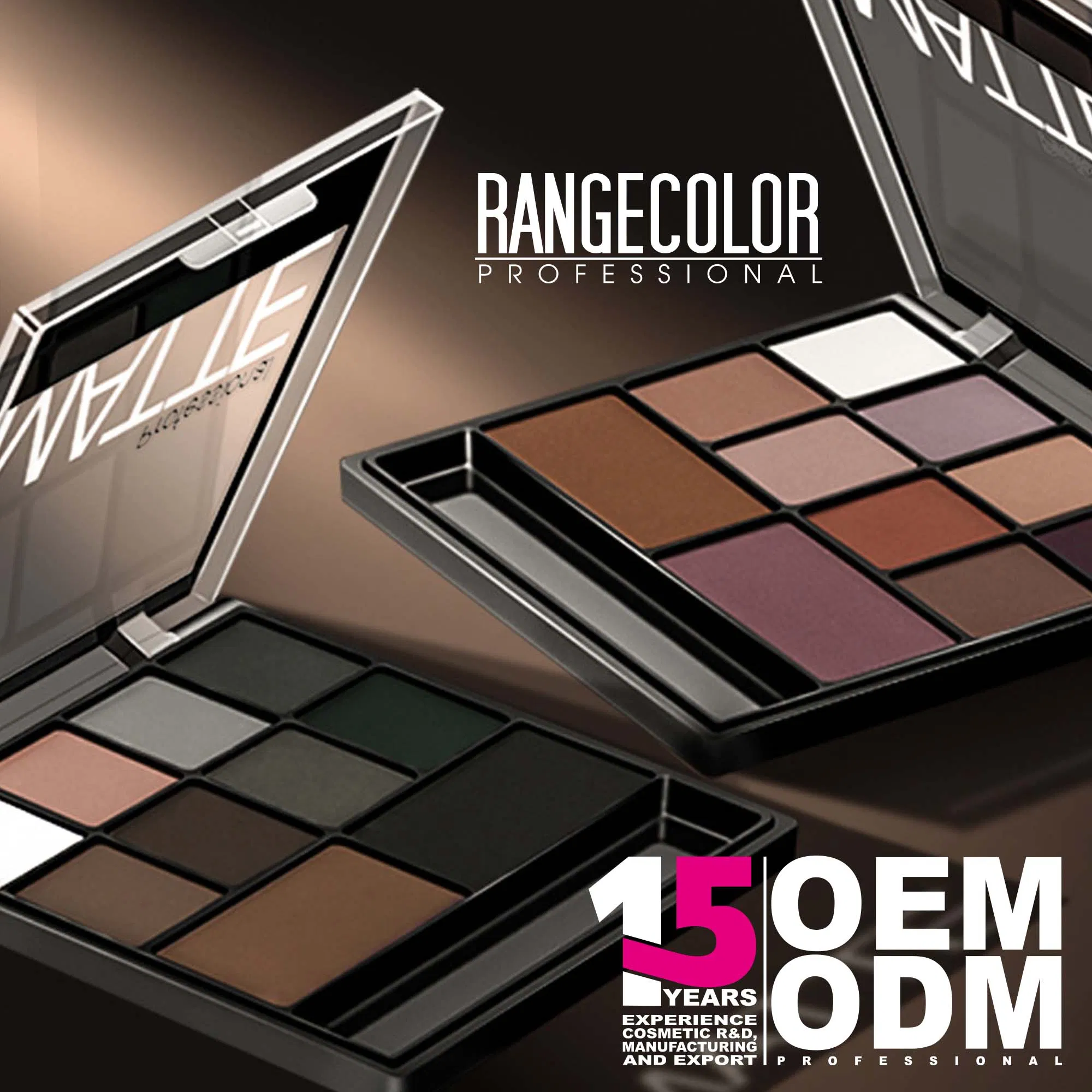 OEM 10 Color Professional Makeup Matte Eyeshadow Cardboard Packingpalette with Brush