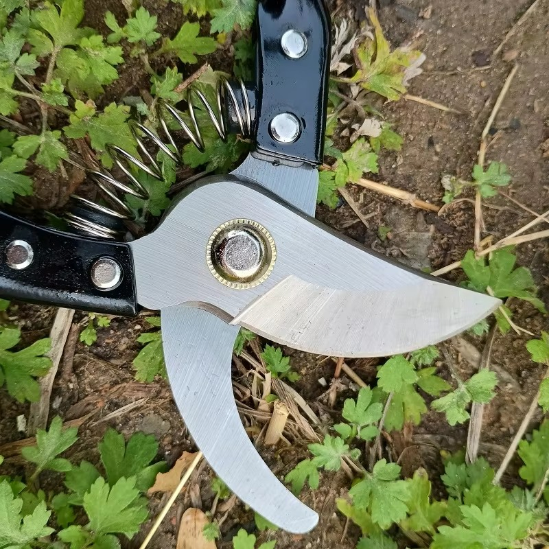 Профессиональные садовые секаторы SK5 для обрезки деревьев и кустов