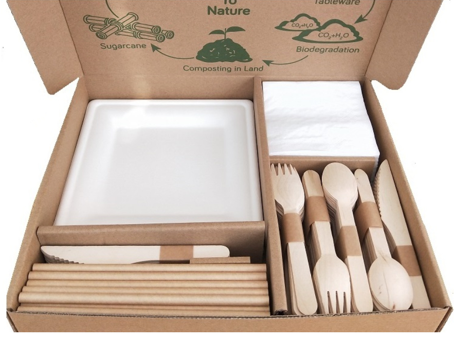 Christmas Home Party Dinnerware Set, Biodegradable Disposable Bagasse (40-people)