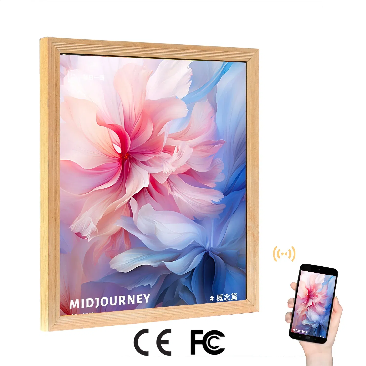 Bright 19 2 27 9 Inch Gallery Display with IPS LCD Technology