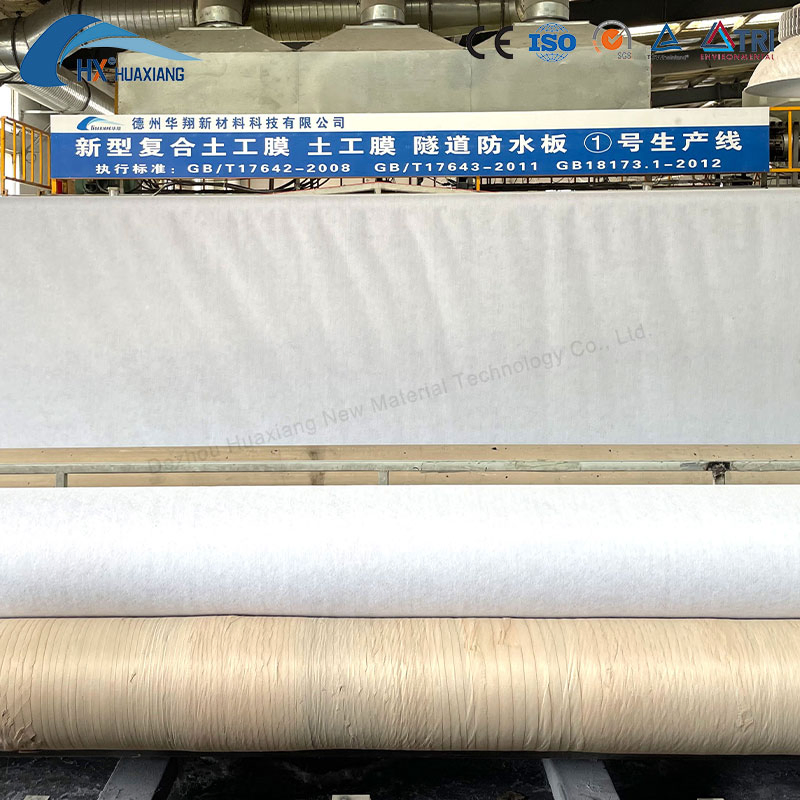 High Quality Composite Geomembrane with Non Woven Geotextile