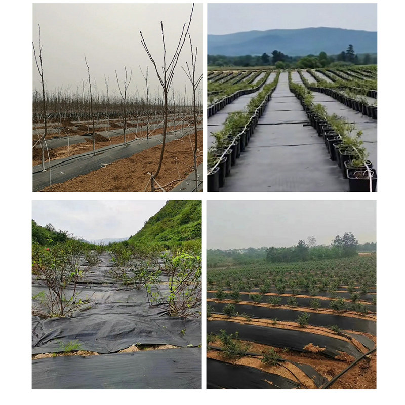 PP Woven Landscape Fabric Garden Matting Ground Cover Plastic Weed Mat