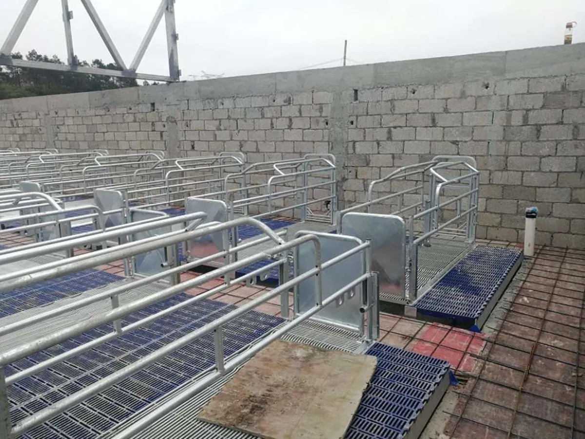 Animal Husbandry Equipment Semen Collection Stall