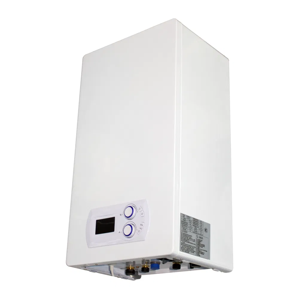 28kw Two Heat Exchanger Wall-Hung Gas Boiler for Comfort
