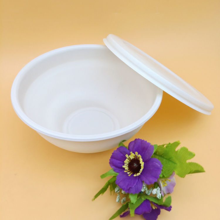 Compostable High-Quality Takeaway Bowl with Lid