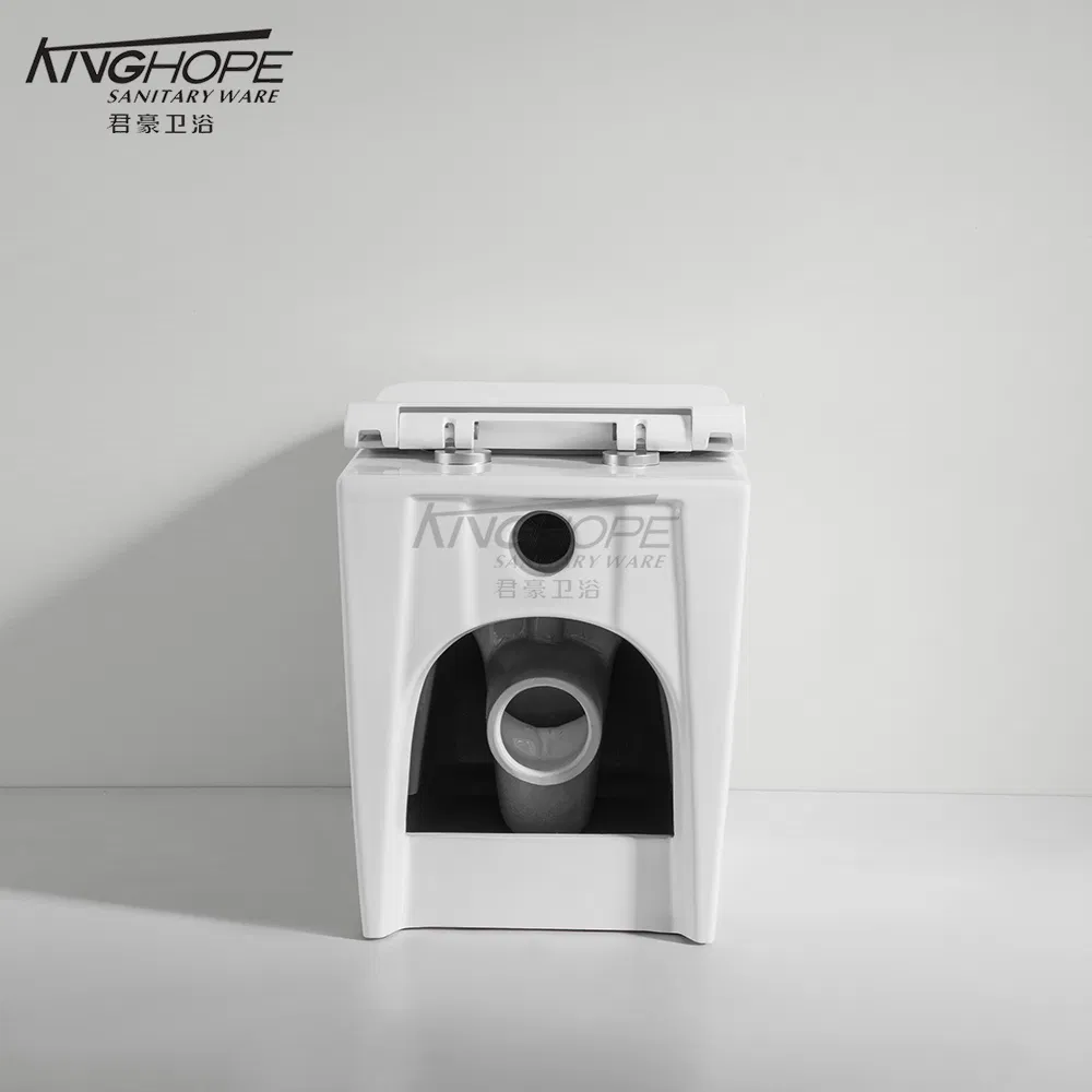 Eco-Friendly Factory Direct Sale Powerful Cleaning Bathroom Furniture Floor-Standing Toilet Sanitary Ware