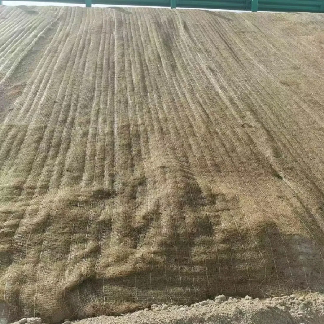 Natural Coconut Fiber Mat for Effective Riverbank Erosion Control