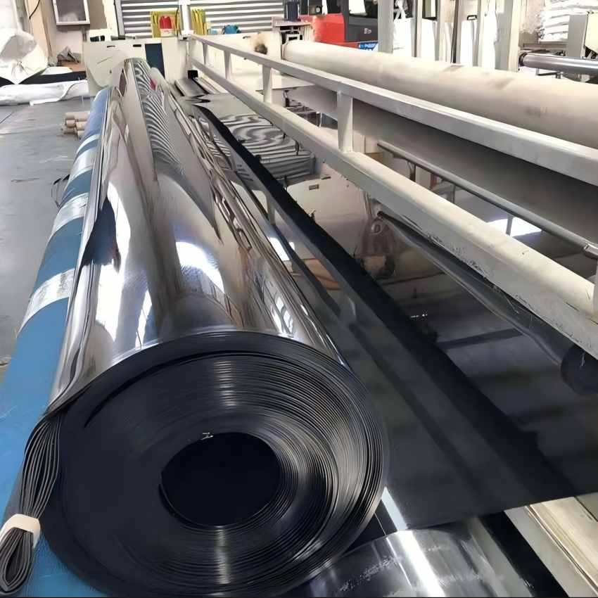 Heavy-Duty Waterproof Geomembrane for Biogas and Mining Projects Dam Landfill Lake Biogas Mining Fish Shrimp Farm Pond Liner Swimming Pool Agricultural Agricult