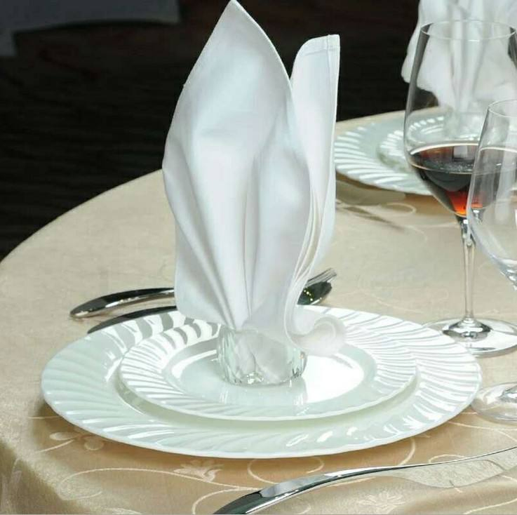 Premium Organic Cotton Satin Band Napkins for Hotels
