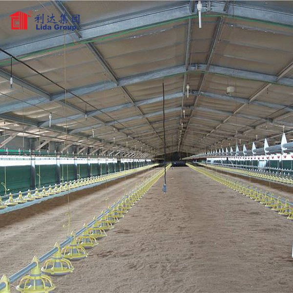 Steel Structure Poultry House for 10000 Chickens Poultry Farm