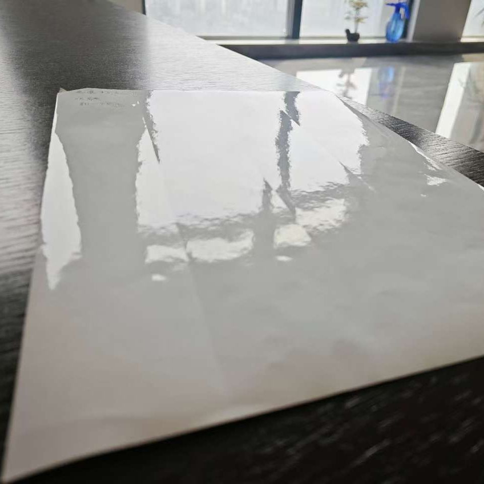 Cast Coated Sticker Paper with Gsf Brand or OEM