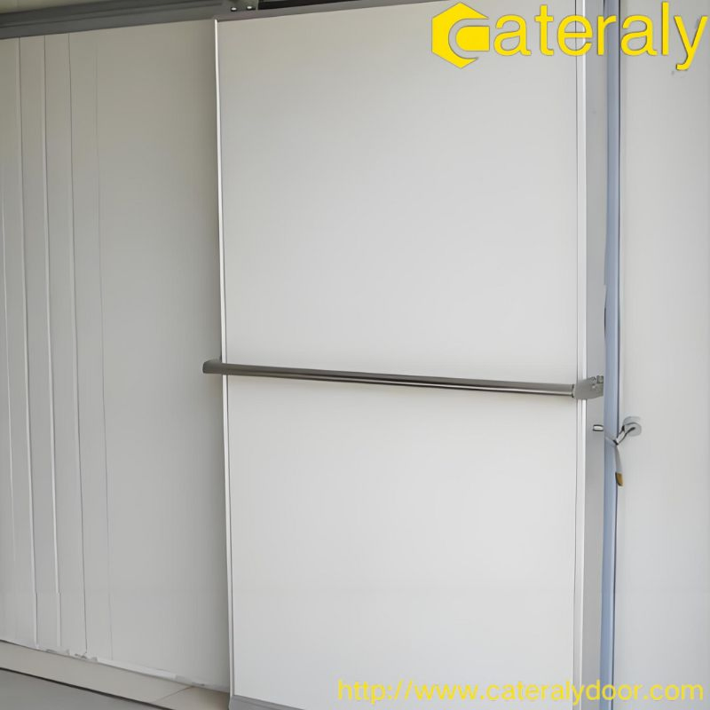 Customized Cold Storage Door Designed for Maximum Energy Efficiency