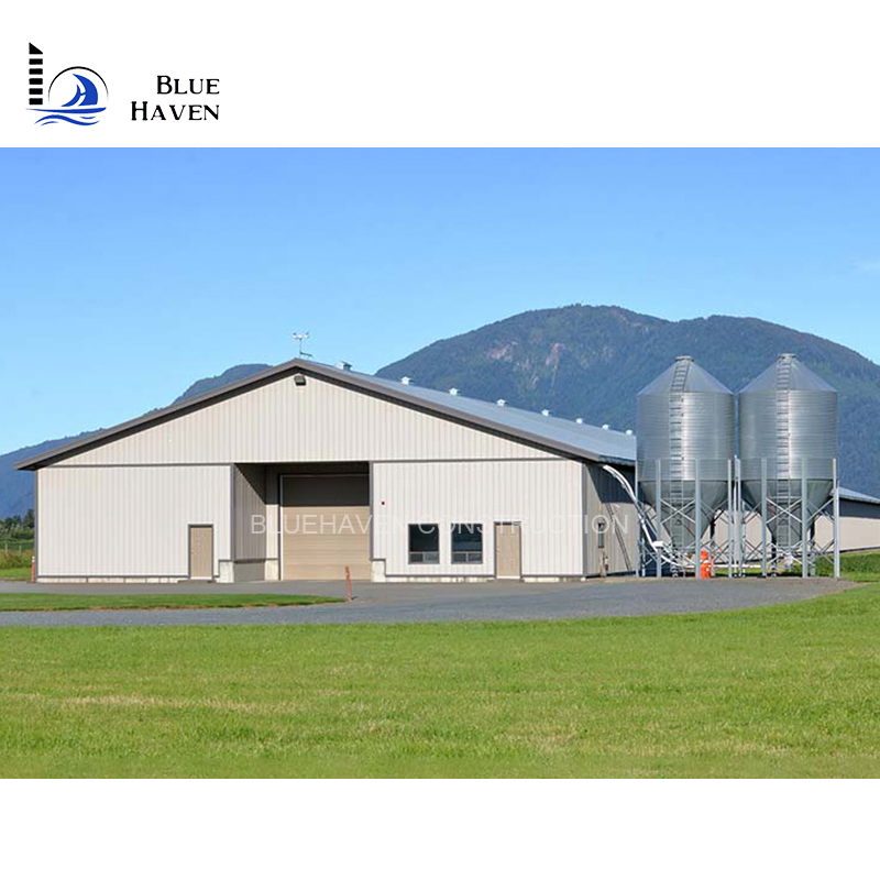 Prefabricated Steel Structures Poultry Farm House Shed/Steel Structural Chicken Shed